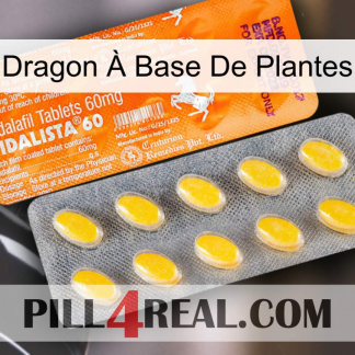Dragon À Base De Plantes new05